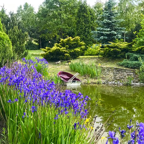Zielone Arboretum